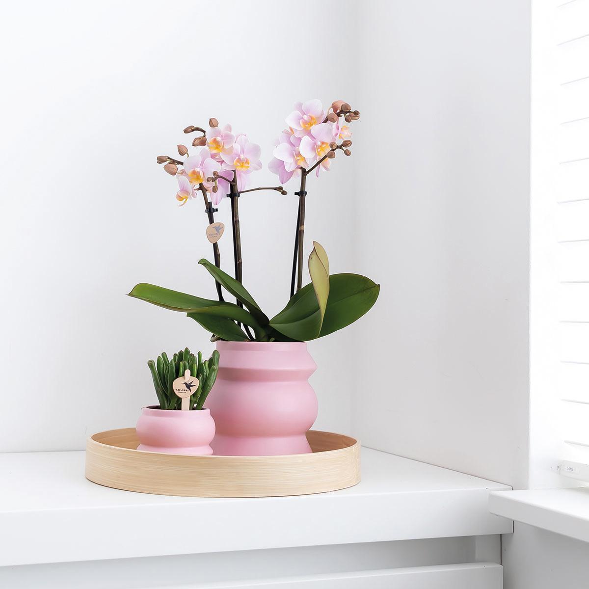 Kolibri Home | Tower roze bloempot - roze keramieken sierpot Ø6cm