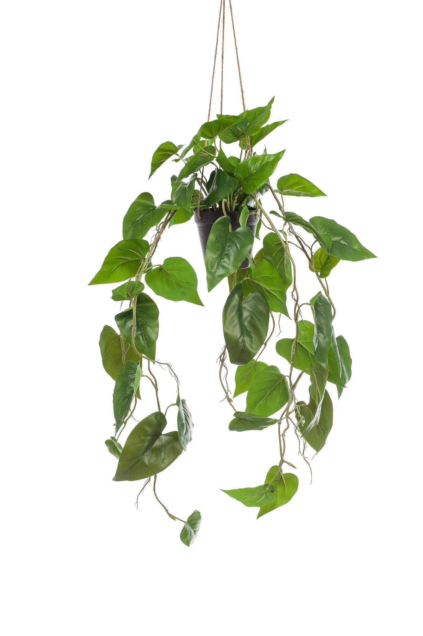 Kunstplant - Philodendron scandens - Klimmende Boomliefhebber - 80 cm Kunstplant - Philodendron scandens - Klimmende Boomliefhebber - 80 cm