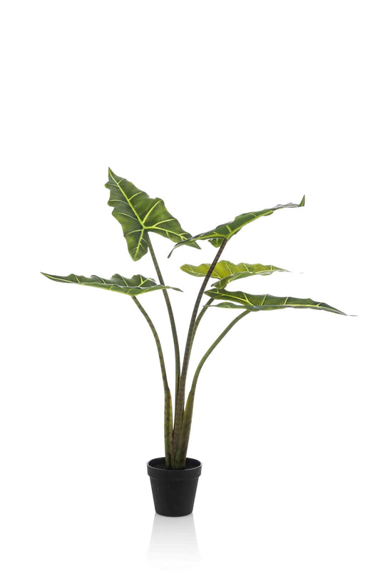 Kunstplant - Alocasia Frydek - Olifantsoor Kunstplant - Alocasia Frydek - Olifantsoor - 80 cm