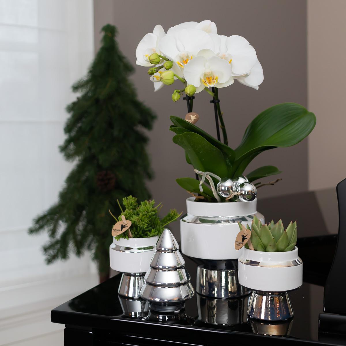 Kolibri Home | Le Chic bloempot - Witte keramieken sierpot met zilveren details - potmaat Ø6cm